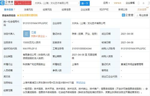 社会经济咨询服务 洞悉未来趋势，赋能决策智慧