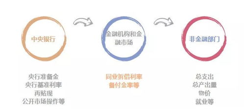 疏通金融活水“最后一公里” 以有效货币传导赋能实体经济