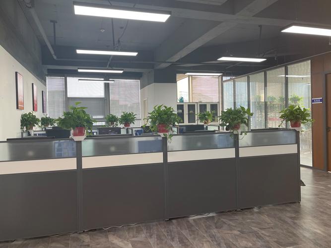 读懂“社会经济咨询服务” 从经营范围到价值落地